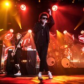 LADY PANK 2021-12-10