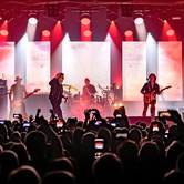 LADY PANK 2021-12-10