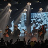 LADY PANK 2021-12-10