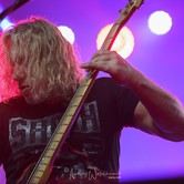 LUXTORPEDA 2022-11-25