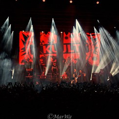 Kult (Spodek), 26.11.2022, Fot. Marcin Wawiernia