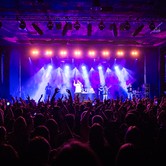 PALUCH / SŁOŃ 2023-04-13