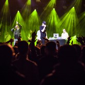 PALUCH / SŁOŃ 2023-04-13