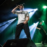 PALUCH / SŁOŃ 2023-04-13