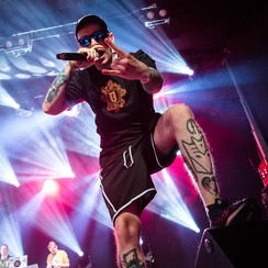 Paluch/Słoń fot. Michał Białowąs