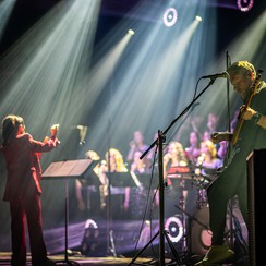 Organek fot. Dominika Wajda