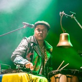 GOGOL BORDELLO 2023-06-09