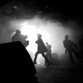 ZDECHŁY OSA 2023-11-29