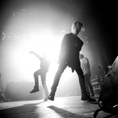 ZDECHŁY OSA 2023-11-29