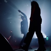 ZDECHŁY OSA 2023-11-29