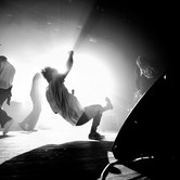 ZDECHŁY OSA 2023-11-29