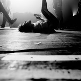 ZDECHŁY OSA 2023-11-29