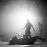 ZDECHŁY OSA 2023-11-29