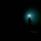 ZDECHŁY OSA 2023-11-29