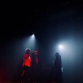 ZDECHŁY OSA 2023-11-29