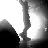 ZDECHŁY OSA 2023-11-29