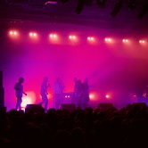 ZDECHŁY OSA 2023-11-29