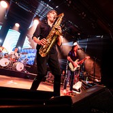 LADY PANK 2024-04-12