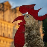 KAZIMIERNIKEJSZYN 2024 - DZIEŃ 1 2024-07-17