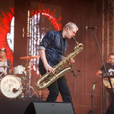 MUZYCZNY KAZIMIERZ: KULT, DARMOZJADY, ZIEMBUL 2024-08-03