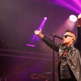 MUZYCZNY KAZIMIERZ: T.LOVE, KASIA KOWALSKA, BRUDNO 2024-08-09