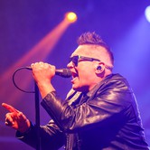 MUZYCZNY KAZIMIERZ: T.LOVE, KASIA KOWALSKA, BRUDNO 2024-08-09