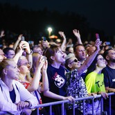 MUZYCZNY KAZIMIERZ: T.LOVE, KASIA KOWALSKA, BRUDNO 2024-08-09