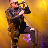 MUZYCZNY KAZIMIERZ: T.LOVE, KASIA KOWALSKA, BRUDNO 2024-08-09