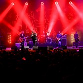 MUZYCZNY KAZIMIERZ: T.LOVE, KASIA KOWALSKA, BRUDNO 2024-08-09