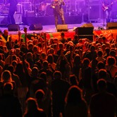 MUZYCZNY KAZIMIERZ: T.LOVE, KASIA KOWALSKA, BRUDNO 2024-08-09