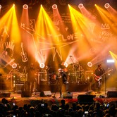 MUZYCZNY KAZIMIERZ: T.LOVE, KASIA KOWALSKA, BRUDNO 2024-08-09