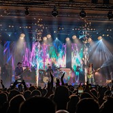 LADY PANK - OHYDA 2024-12-07