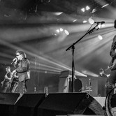 LADY PANK - OHYDA 2024-12-07