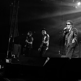 LADY PANK - OHYDA 2024-12-07