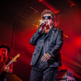 LADY PANK - OHYDA 2024-12-07