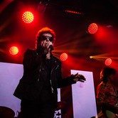 LADY PANK - OHYDA 2024-12-07