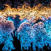 AFROMENTAL FEAT. PAWBEATS ORCHESTRA (20-LECIE) 2024-12-17