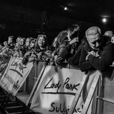 LADY PANK 2025-04-11