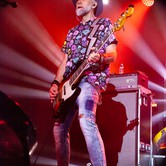 LADY PANK 2025-04-11