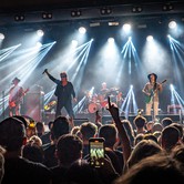 LADY PANK 2025-04-11