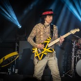 LADY PANK 2025-04-11