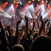 LADY PANK 2025-04-11