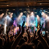 LADY PANK 2025-04-11