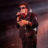 LADY PANK 2025-04-11