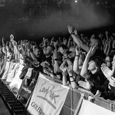 LADY PANK 2025-04-11