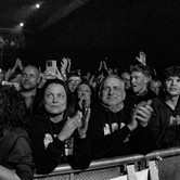 LADY PANK 2025-04-11