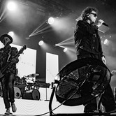 LADY PANK 2025-04-11