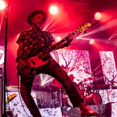 LADY PANK 2025-04-11