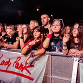 LADY PANK 2025-04-11