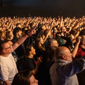 LADY PANK 2025-04-11